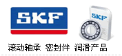 瑞典SKF軸承